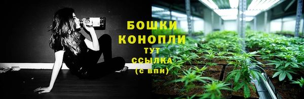 mix Белокуриха