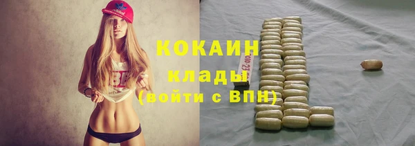 mix Белокуриха
