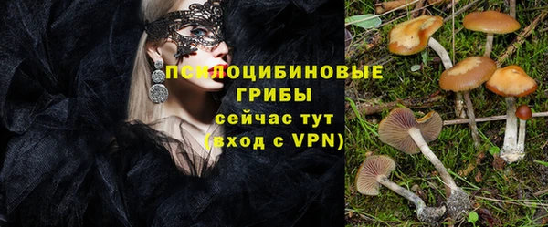mix Белокуриха